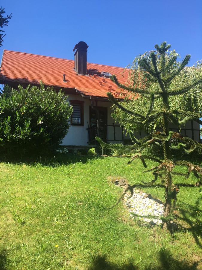 فيلا Haus Bergblick Luftkurort Lückendorf المظهر الخارجي الصورة